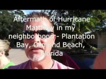 hurricane-survivor